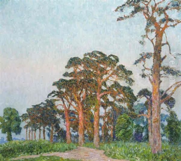 Dennebomen Bij Zonsondergang Oil Painting by Emile Claus