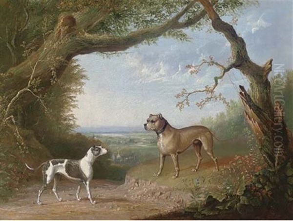 A Bulldog And Bull Terrier In A Landscape Oil Painting by Daniel Clowes