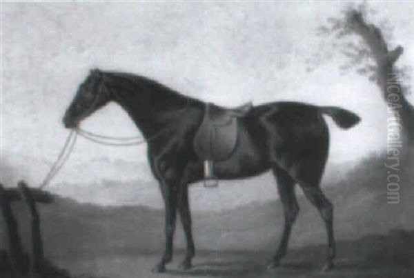 A Dark Bay Hunter Tethered To A Fence Oil Painting by Daniel Clowes