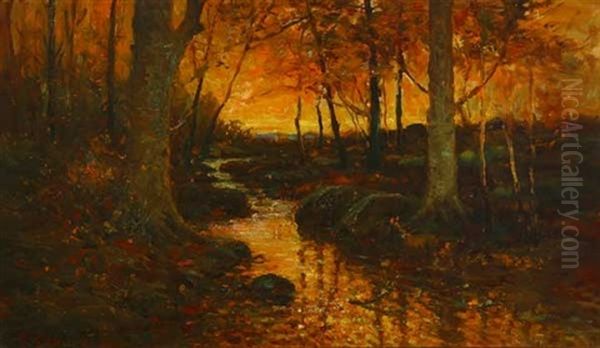 Sunset In Wood After Rain Oil Painting by Frank Coburn