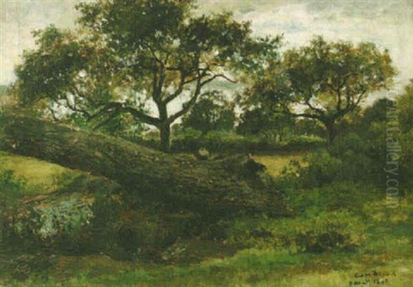 Kaatunut Puu Oil Painting by Cesar De Cock