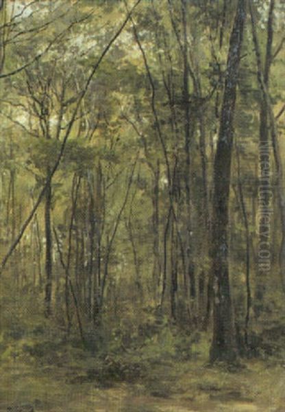 Bjorkskog Oil Painting by Cesar De Cock