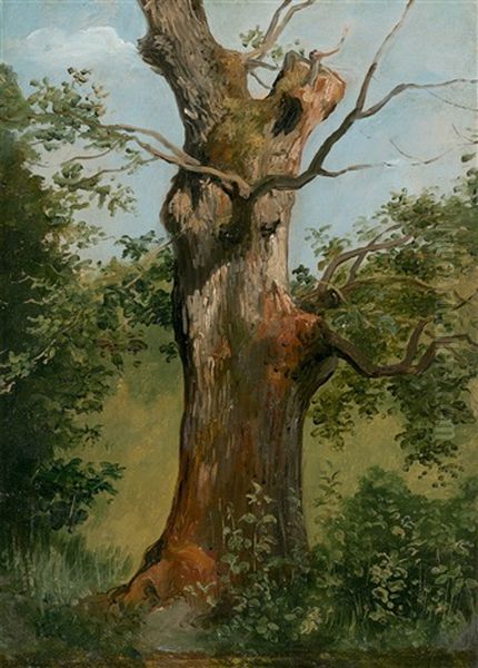 Tree Study Oil Painting by Jules Louis Phillipe Coignet