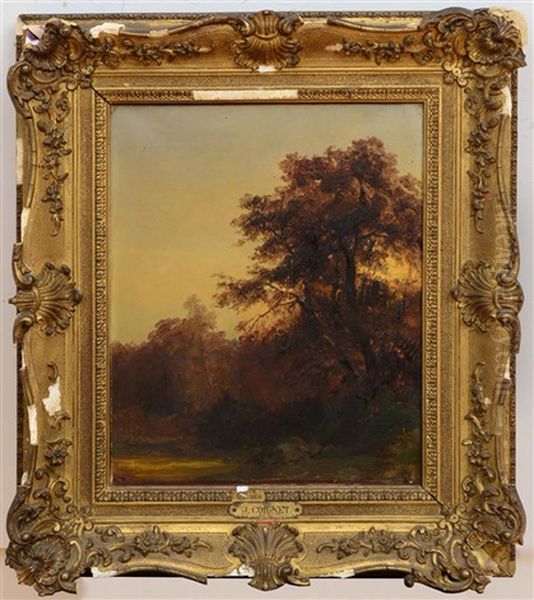 In The Forest Oil Painting by Jules Louis Phillipe Coignet