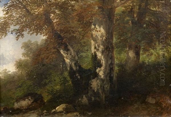 Le Gros Arbre Oil Painting by Jules Louis Phillipe Coignet