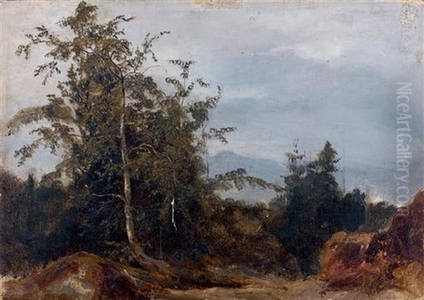 Vue Prise En Foret (fontainebleau ?) Oil Painting by Jules Louis Phillipe Coignet