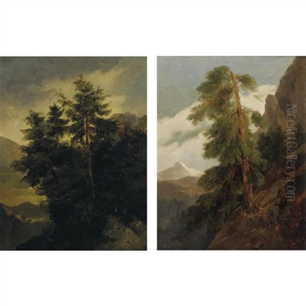 Stand Of Pines On A Rocky Outcropping (+ Pine Tree On A Hillside, A Snow Covered Mountain Beyond; 2 Works) Oil Painting by Jules Louis Phillipe Coignet