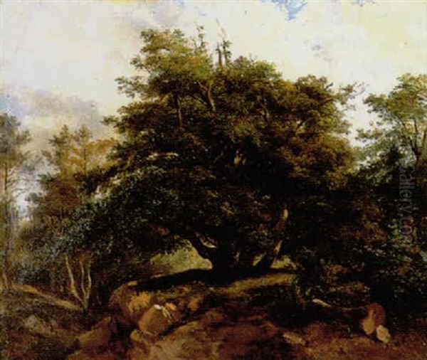 Le Vieux Chene En Foret De Fontainebleau Oil Painting by Jules Louis Phillipe Coignet