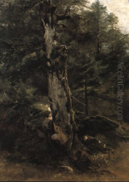 Foret A Fontainebleau Oil Painting by Jules Louis Phillipe Coignet
