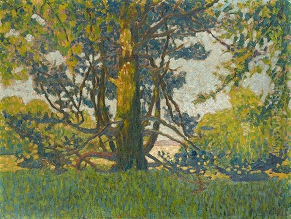 Sous Bois Oil Painting by Michel Auguste Colle