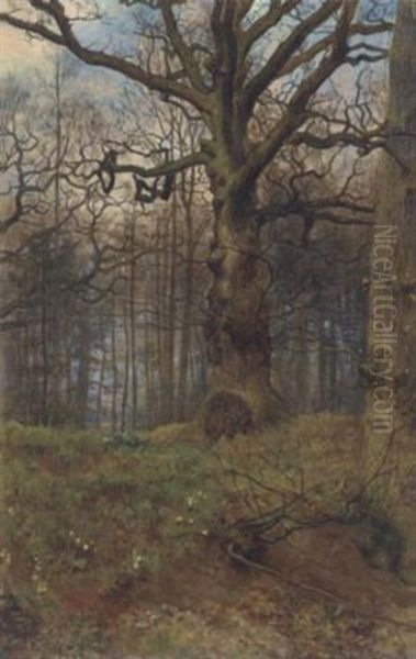 The Spring Wood Oil Painting by Collier, John