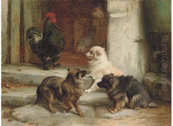 The Cock Of The Walk Oil Painting by Margaret Collyer