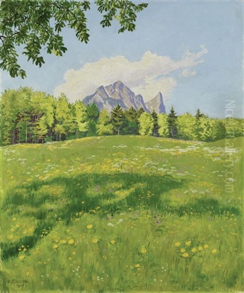 Das Stockhorn Vom Osten Aus Gesehen Oil Painting by Plinio Colombi