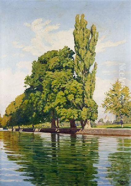 Bord De Riviere Oil Painting by Plinio Colombi