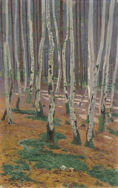 Sonniger Birkenwald Oil Painting by Plinio Colombi