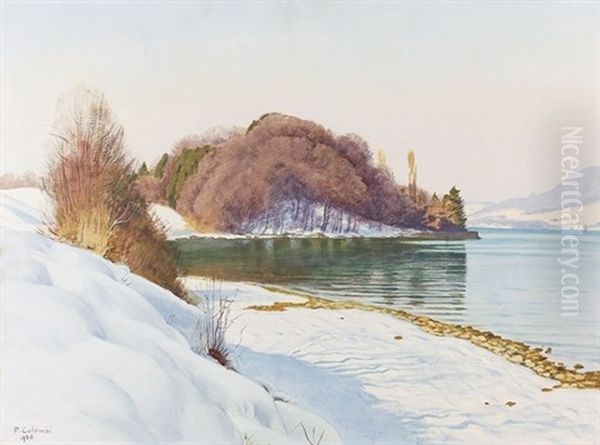 Winterliche Partie Am Thunersee Oil Painting by Plinio Colombi