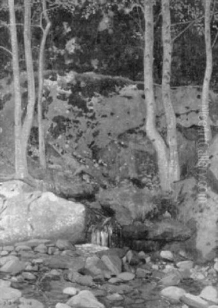 Waldbach Oil Painting by Plinio Colombi