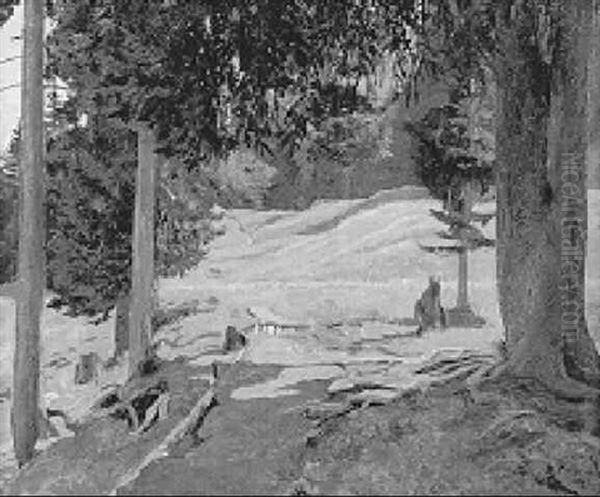 Waldlichtung St. Antoenien (praettigau) Oil Painting by Plinio Colombi