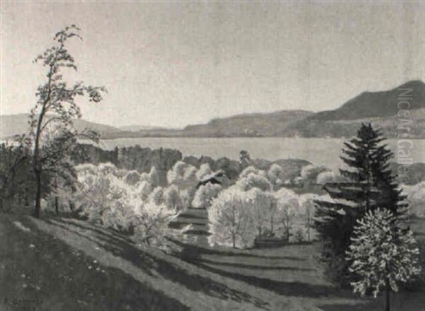 Fruhlingslandschaft Am Brienzersee Oil Painting by Plinio Colombi