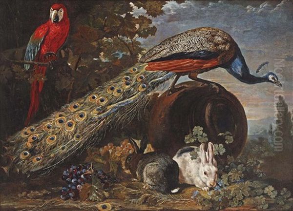 A Peacock On An Overturned Urn, A Parrot In A Tree, Two Rabbits And Bunches Of Grapes In A Garden Oil Painting by David de Coninck