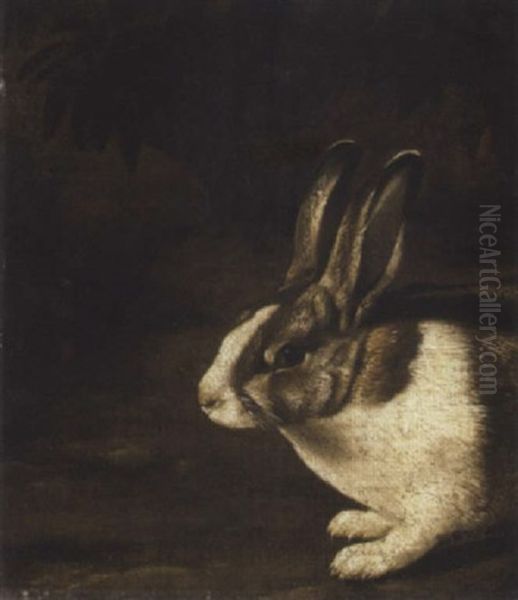 A Rabbit In A Rocky Undergrowth Oil Painting by David de Coninck