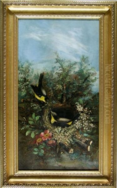 Birds And Blossoms Oil Painting by Charles Connor