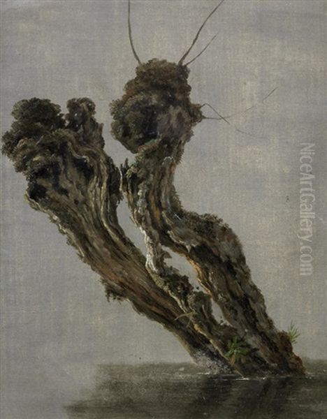 Study Of A Pollarded Tree Stump Standing In Water Oil Painting by Jean Antoine Constantin D'Aix