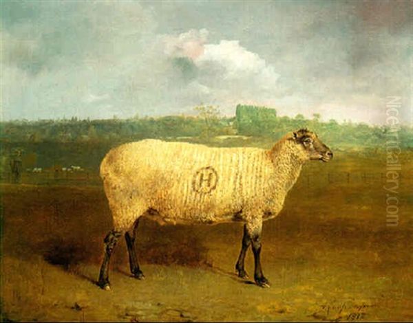 Mr J Archer Houblon's Prize Suffolk Ewe At Hallingbury Place, Essex Oil Painting by Abraham Cooper