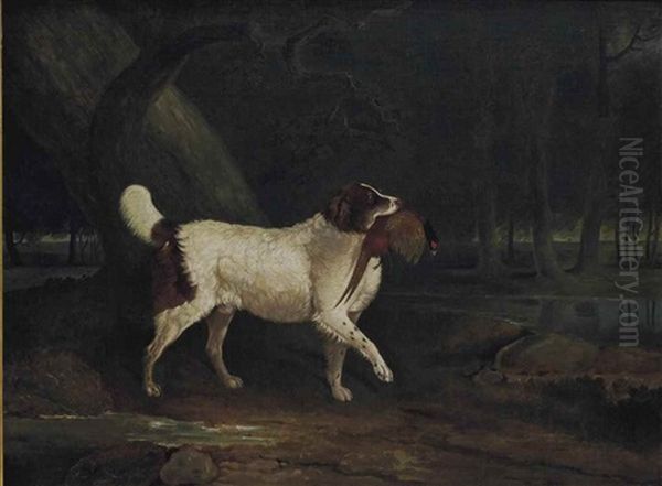 Epagneul Rapportant Un Faisan Oil Painting by Edwin (Sir) Cooper