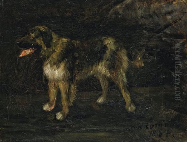 Hundestudie (grosser, Stehender Bernhardiner) Oil Painting by Lovis (Franz Heinrich Louis) Corinth