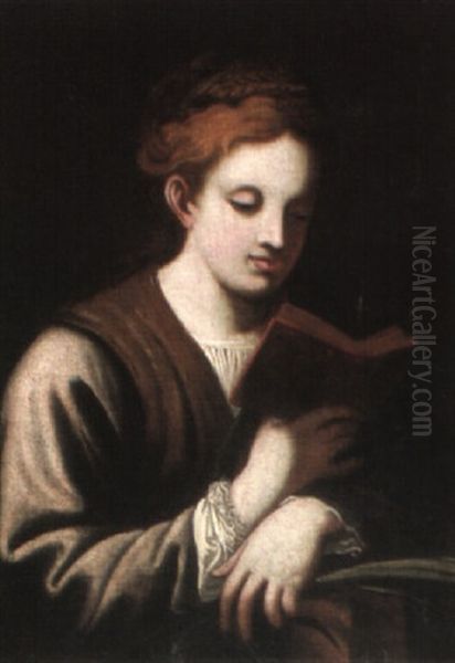 Saint Catherine Reading A Book Oil Painting by Antonio Allegri da Correggio