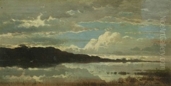 Volo Di Uccelli Oil Painting by Hermann David Solomon Corrodi