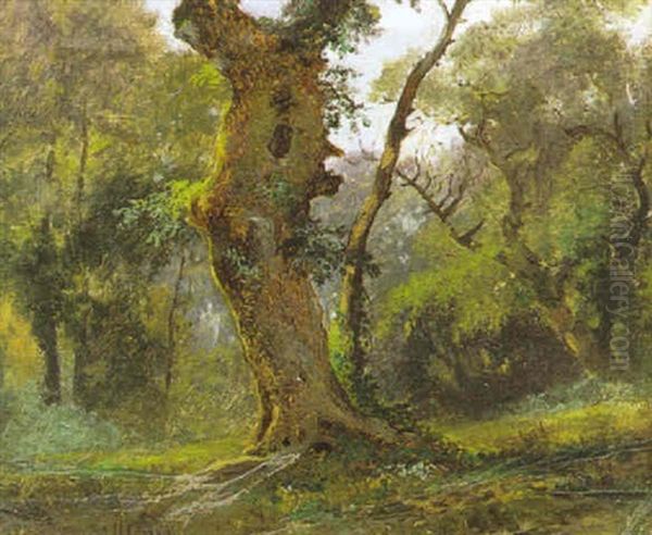 Albero Oil Painting by Hermann David Solomon Corrodi