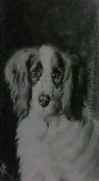 Two: 1.study Of A Spaniel's Head                            2.study Of A Cat (10.5x9) Oil Painting by Horatio Henry Couldery