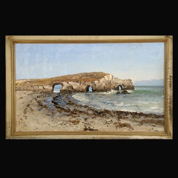 Natural Bridges, Santa Cruz Oil Painting by William Coulter