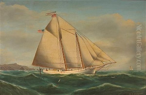 Sea Foam, A Schooner Outside Of The San Francisco Bay With The Farallones Beyond Oil Painting by William Coulter