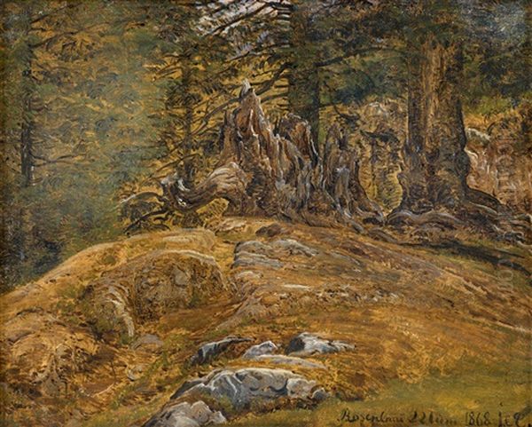 Waldpartie Bei Rosenlaui Im Grindelwald In Der Schweiz Oil Painting by Janus Andreas Bartholin La Cour