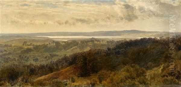 Weite Danische Landschaft Oil Painting by Janus Andreas Bartholin La Cour