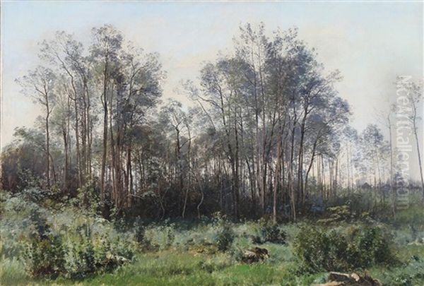 A Forest Clearing Oil Painting by Janus Andreas Bartholin La Cour
