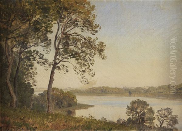 Danische Landschaft Mit Blick Uber Einen Fjord Oil Painting by Janus Andreas Bartholin La Cour