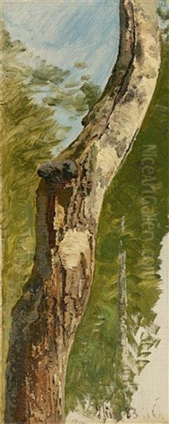 Tree Trunk Oil Painting by Janus Andreas Bartholin La Cour