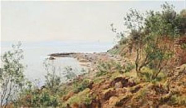 Coastal Scene From Moesgaard Beach Oil Painting by Janus Andreas Bartholin La Cour