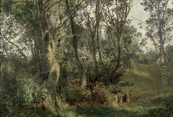 Lichtdurchfluteter Waldpfad Oil Painting by Janus Andreas Bartholin La Cour