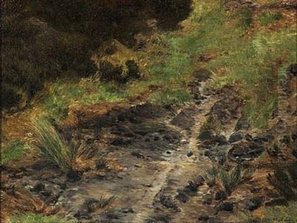 Forest Floor With Rocks And Ferns Oil Painting by Janus Andreas Bartholin La Cour