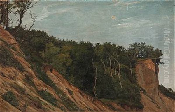 Fra Aarhus Oil Painting by Janus Andreas Bartholin La Cour