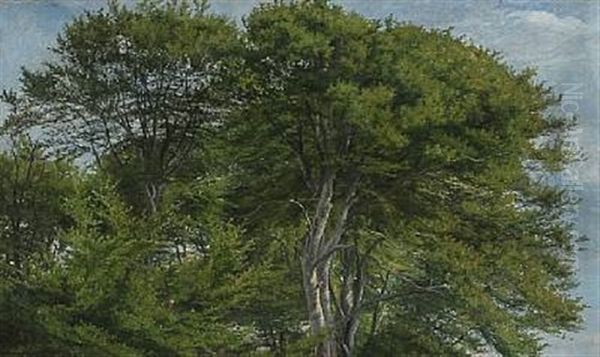 Tall Beech Trees Oil Painting by Janus Andreas Bartholin La Cour