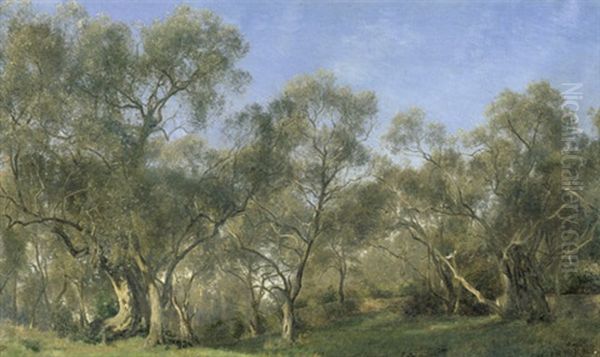 Olivenhain In Bordighera Bei San Remo Oil Painting by Janus Andreas Bartholin La Cour