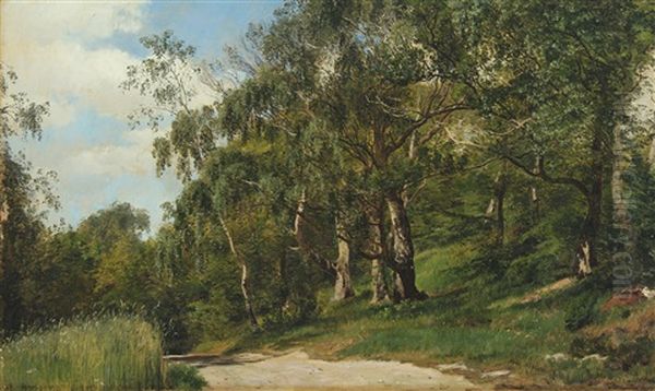 Forest Scene With Birch Trees By A Small Road Oil Painting by Janus Andreas Bartholin La Cour