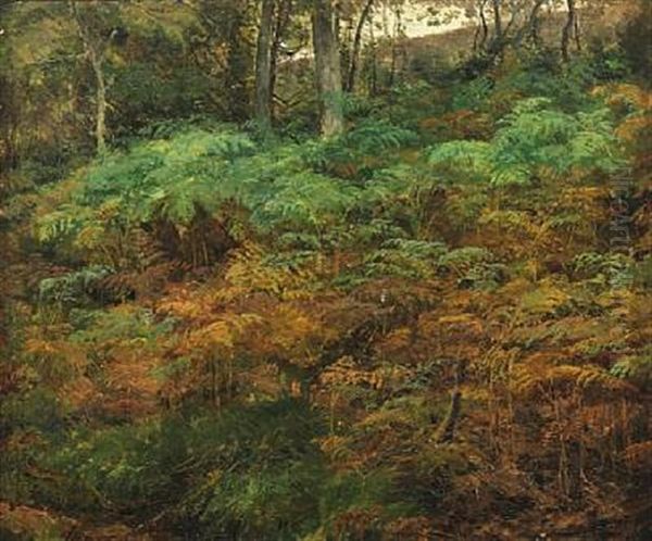 Ferns On The Forest Floor Oil Painting by Janus Andreas Bartholin La Cour