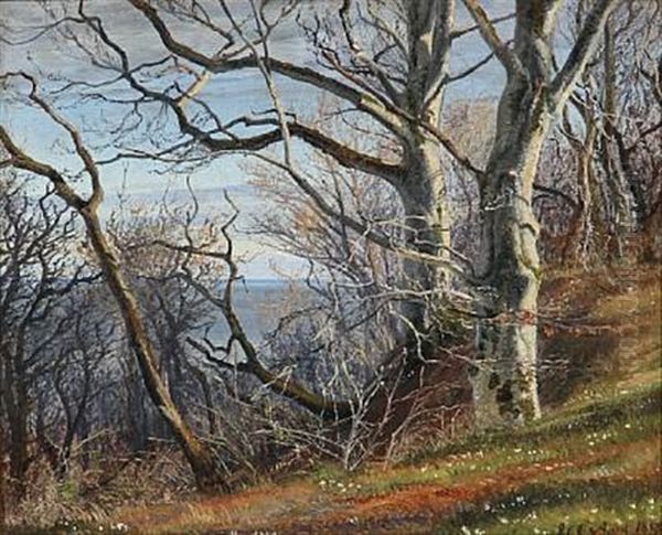 Spring Day At A Hillside With Beeches And Anemones, In The Background The Sea Oil Painting by Janus Andreas Bartholin La Cour